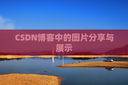 CSDN博客中的图片分享与展示